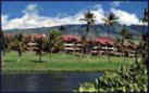 Kaanapali Royal