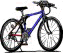 Bicycle Tours and Rentals