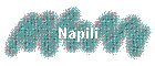 Napili