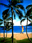 Maui vacation rentals