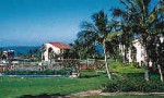 Maui Hill