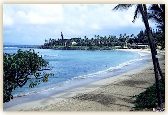 Napili Bay